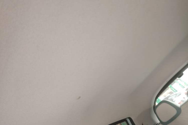 Used Geometry E Firefly 2023 401KM Lightning Tiger 5-Seater Headliner