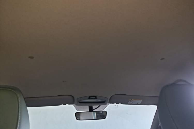 Used Geometry E Firefly 2023 401KM Linglong Tiger 5-Seater Headliner