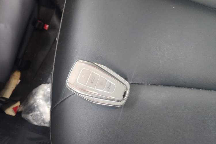 Used Geometry E Firefly 2023 401KM Linglong Tiger 5-Seater Interior 1