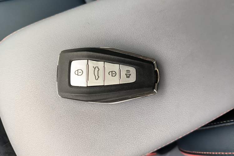 Used Geometry E Firefly 2023 401KM Lightning Tiger 5-Seater Interior 1