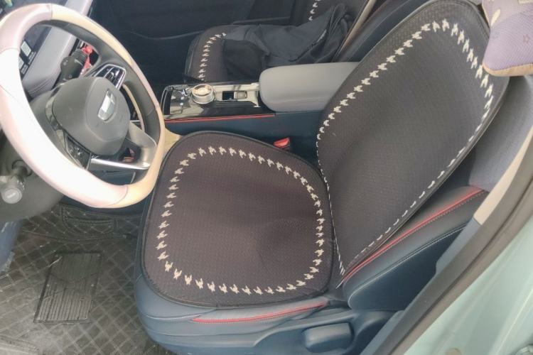 Used Geometry E Firefly 2023 401KM Linglong Tiger 5-Seater Left Front Seat