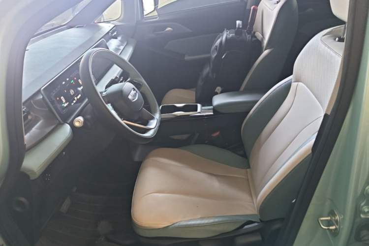 Used Geometry E Firefly 2023 401KM Linglong Tiger 5-Seater Left Front Seat