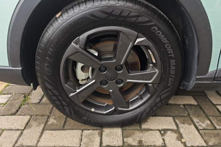 Used Geometry E Firefly 2023 401KM Linglong Tiger 5-Seater Left Front Wheel Hub