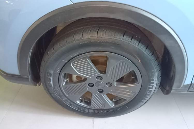 Used Geometry E Firefly 2023 401KM Linglong Tiger 5-Seater Left Front Wheel Hub