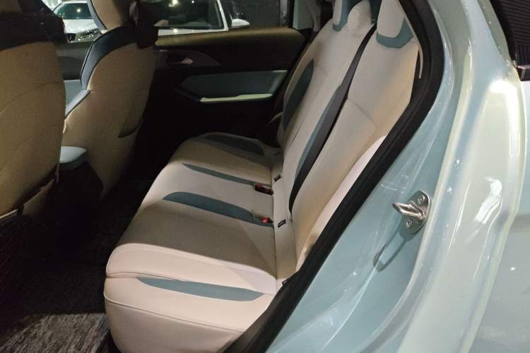 Used Geometry E Firefly 2023 401KM Linglong Tiger 5-Seater Left Rear Seat