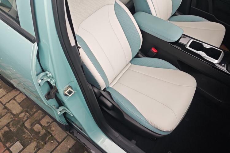 Used Geometry E Firefly 2023 401KM Linglong Tiger 5-Seater Right Front Seat