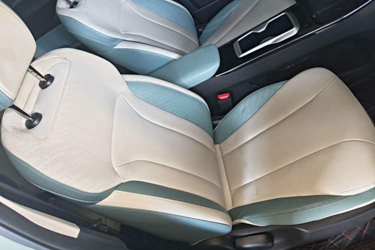 Used Geometry E Firefly 2023 401KM Linglong Tiger 5-Seater Right Front Seat