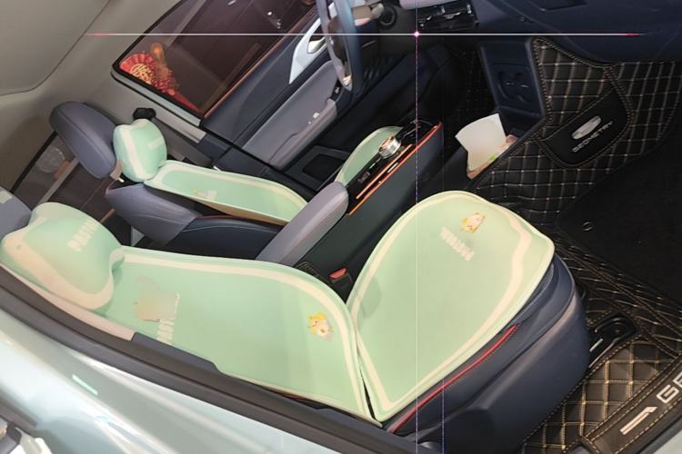Used Geometry E Firefly 2023 401KM Lightning Tiger 5-Seater Right Front Seat