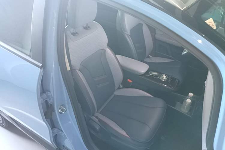 Used Geometry E Firefly 2023 401KM Linglong Tiger 5-Seater Right Front Seat