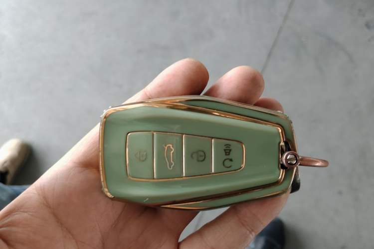Used Geometry E Firefly 2023 401KM Linglong Tiger 5-Seater Vehicle Key