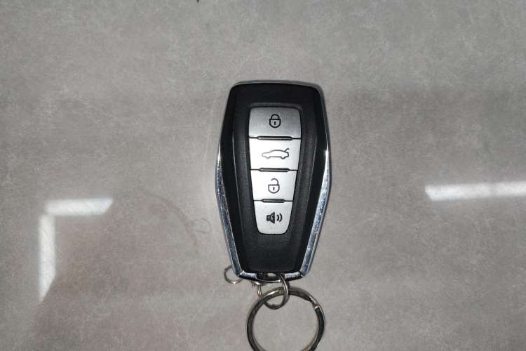 Used Geometry E Firefly 2023 401KM Linglong Tiger 5-Seater Vehicle Key