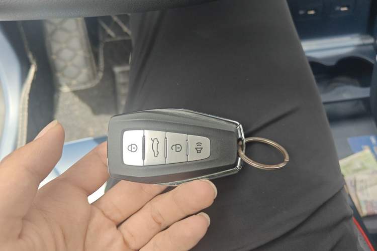 Used Geometry E Firefly 2023 320KM Cute & Handsome Tiger 5 Seats Vehicle Key