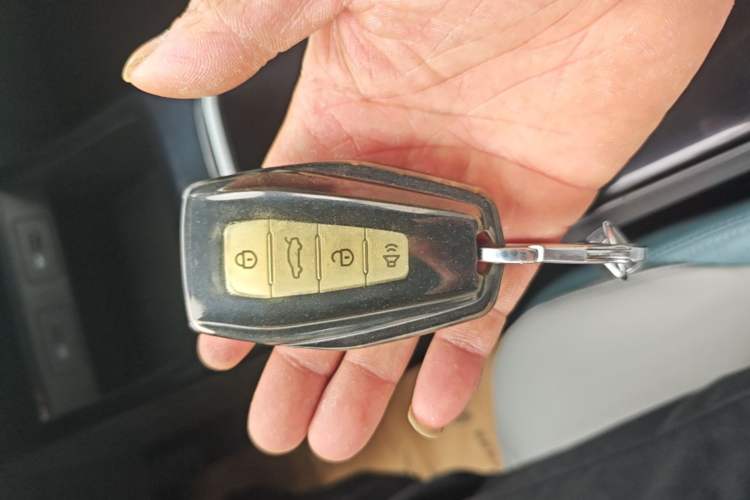 Used Geometry E Firefly 2023 401KM Linglong Tiger 5-Seater Vehicle Key