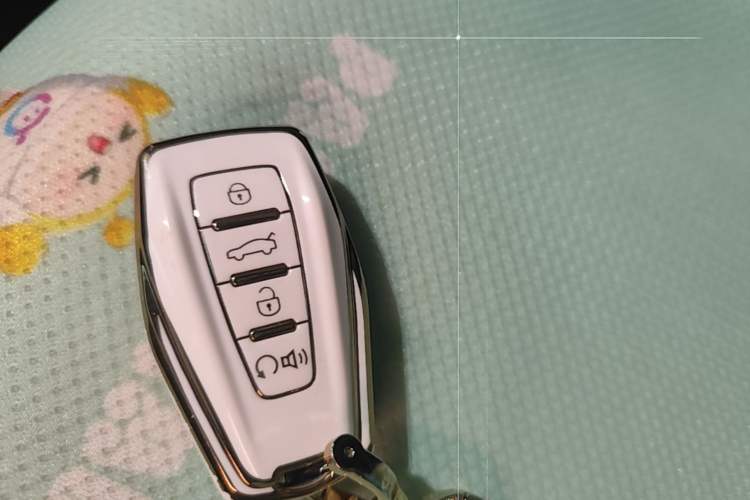 Used Geometry E Firefly 2023 401KM Lightning Tiger 5-Seater Vehicle Key