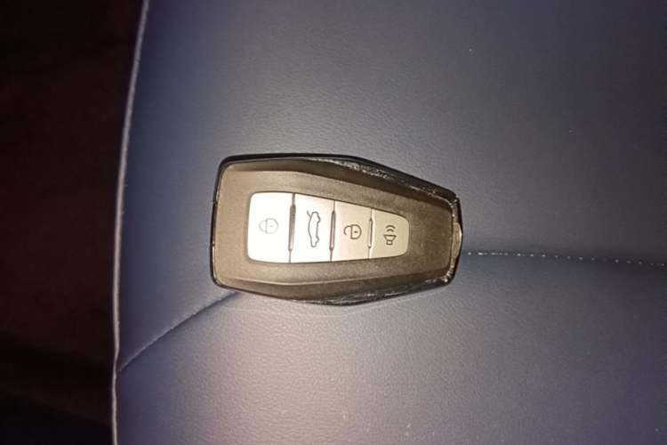 Used Geometry E Firefly 2023 401KM Linglong Tiger 5-Seater Vehicle Key