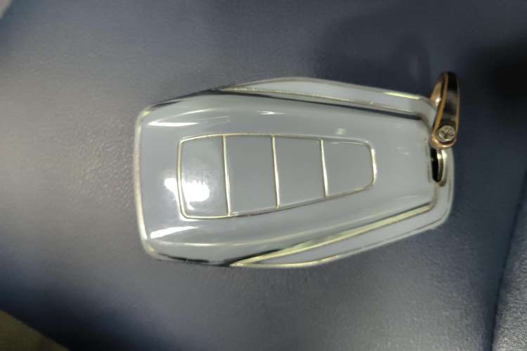 Used Geometry E Firefly 2023 401KM Lightning Tiger 5-Seater Vehicle Key