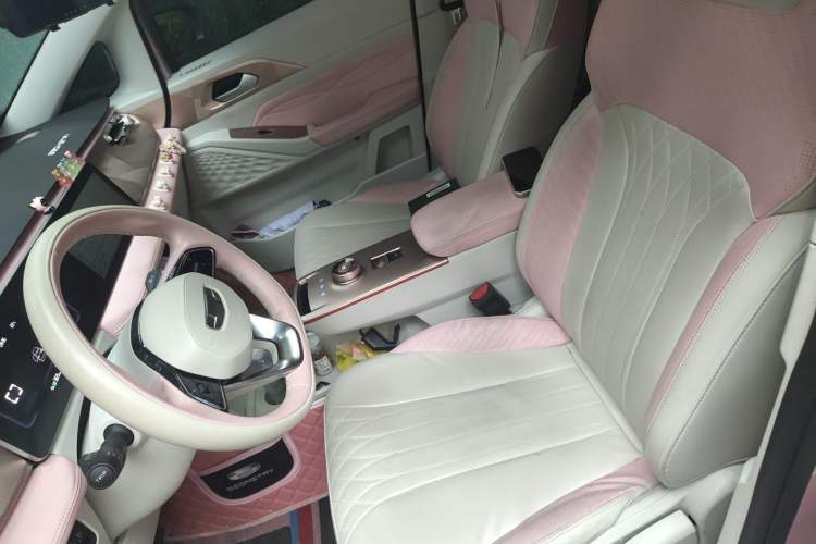 Used Geometry E Firefly 2023 401 km Super-Liked Special Edition 5 Seats Left Front Seat