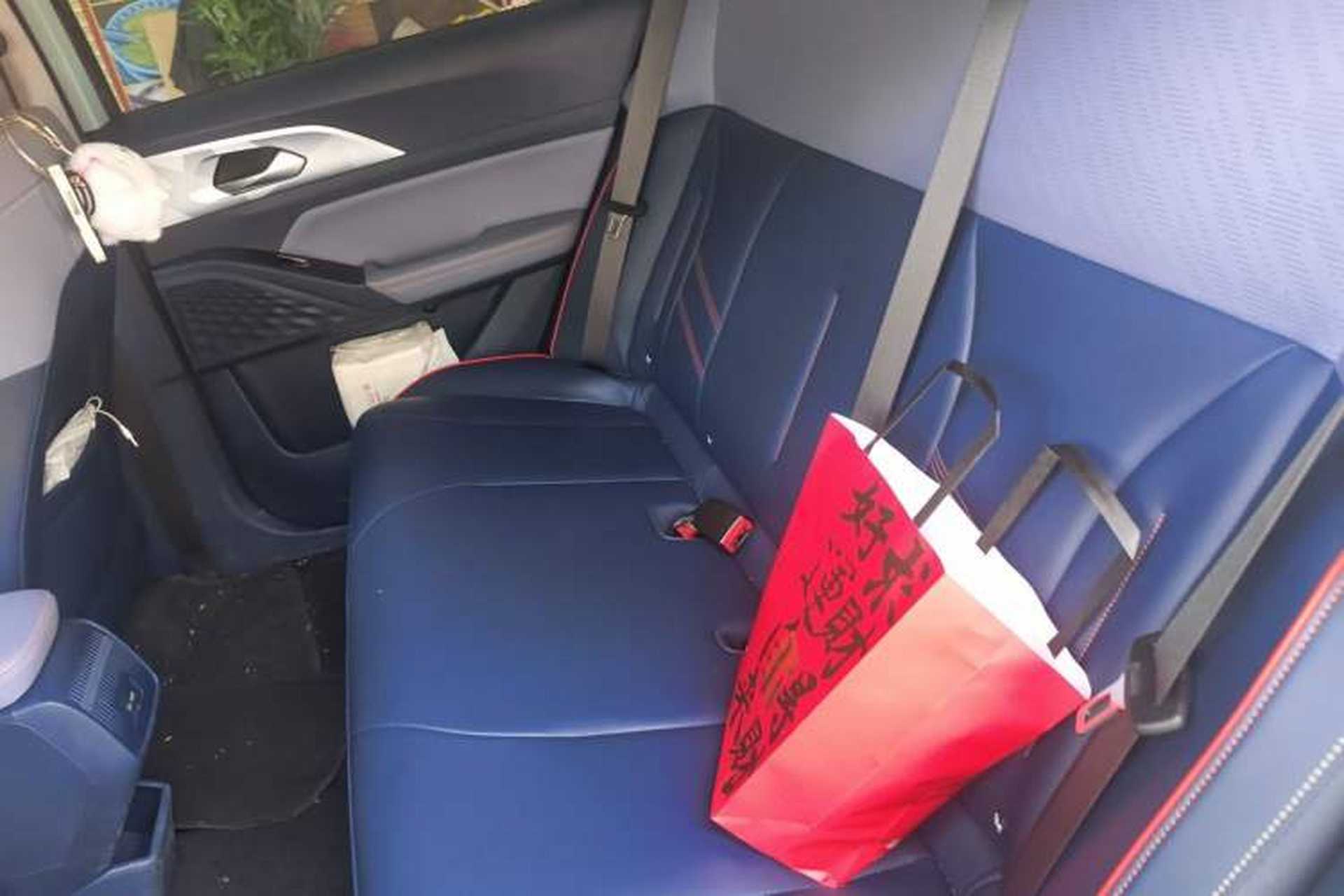 Used Geometry E Firefly 2023 401KM Linglong Tiger 5-Seater Left Rear Seat