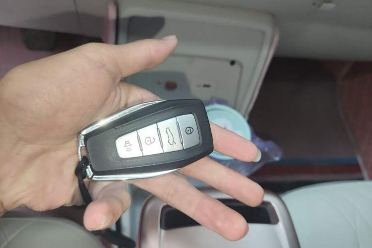 Used Geometry E Firefly 2023 401 km Super-Liked Special Edition 5 Seats Vehicle Key