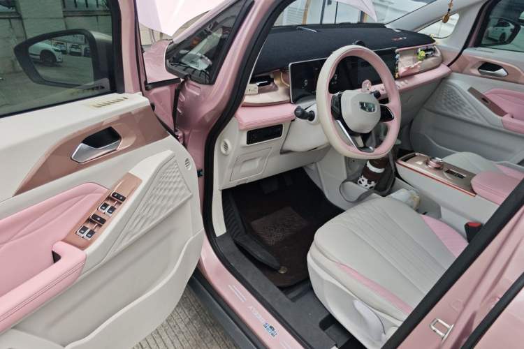 Used Geometry E Firefly 2023 401 km Super-Liked Special Edition 5 Seats Driver Seat