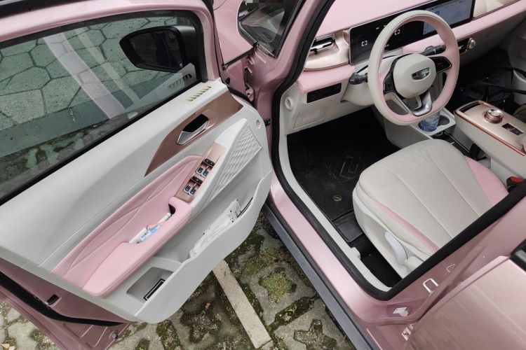 Used Geometry E Firefly 2023 401 km Super-Liked Special Edition 5 Seats Driver Seat