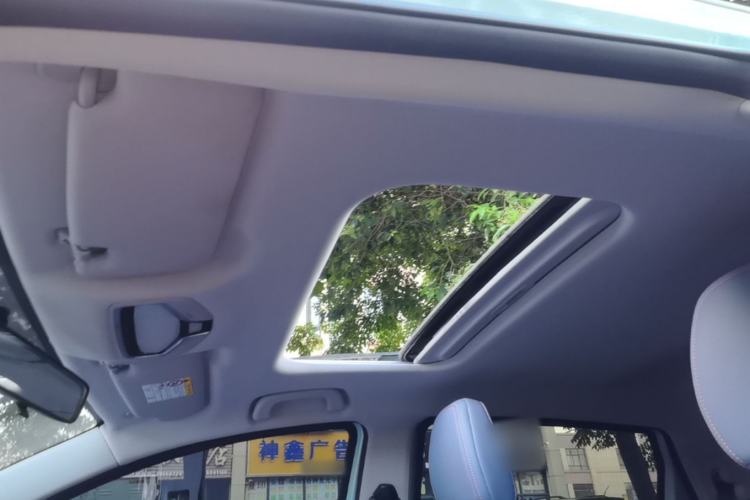Used Geometry E Firefly 2023 401KM Linglong Tiger 5-Seater Custom Edition Headliner