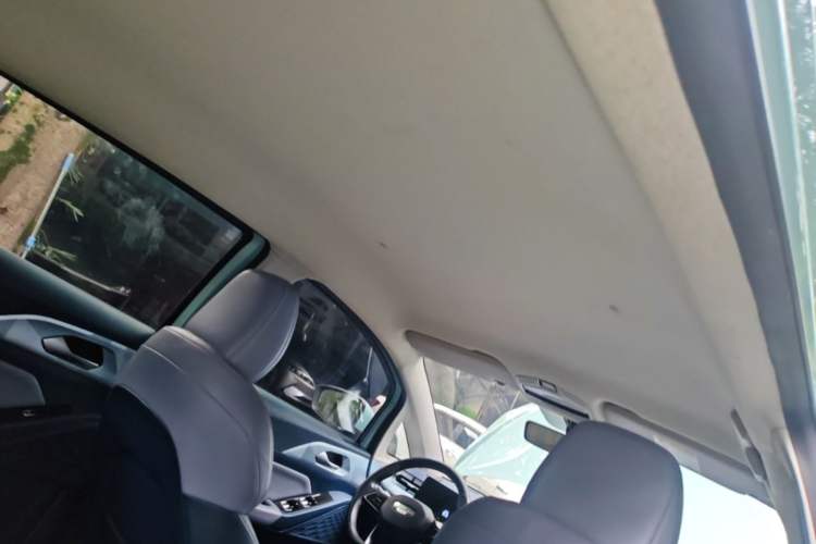 Used Geometry E Firefly 2023 320KM Cute & Handsome Tiger 5 Seats Headliner