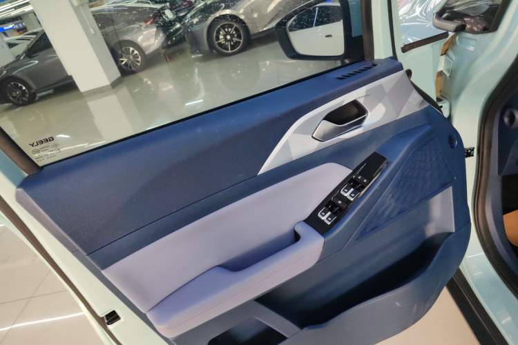 Used Geometry E Firefly 2023 401KM Linglong Tiger 5-Seater Left Front Door Interior