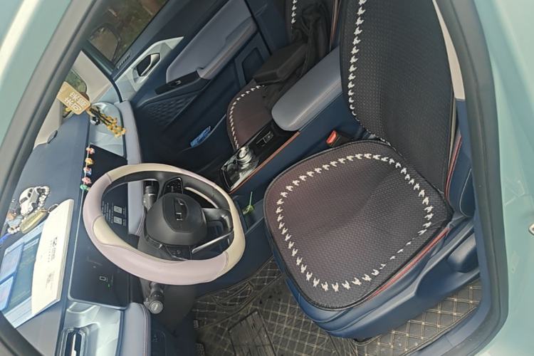 Used Geometry E Firefly 2023 401KM Linglong Tiger 5-Seater Left Front Seat