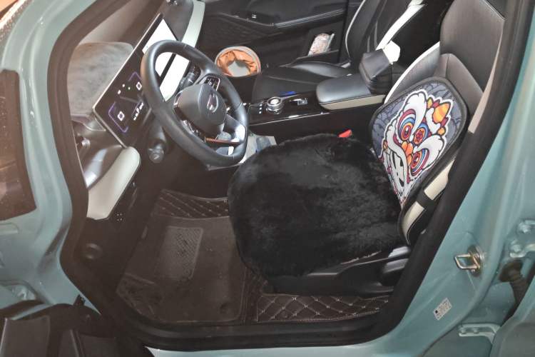 Used Geometry E Firefly 2023 320KM Cute & Handsome Tiger 5 Seats Left Front Seat