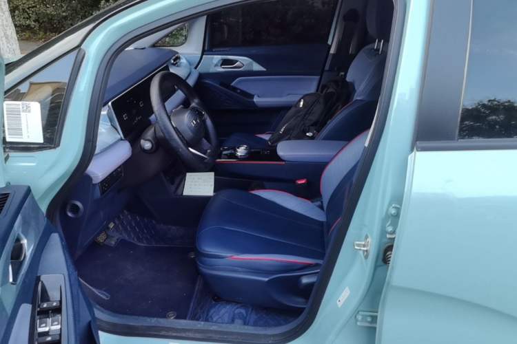 Used Geometry E Firefly 2023 401KM Linglong Tiger 5-Seater Custom Edition Left Front Seat