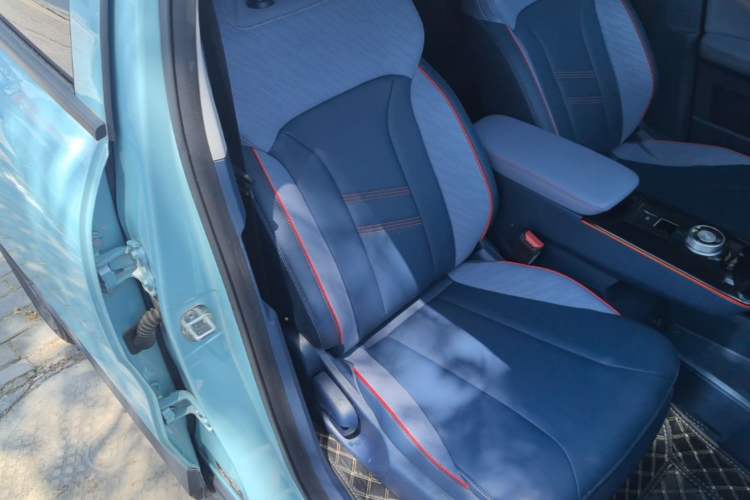 Used Geometry E Firefly 2023 401KM Linglong Tiger 5-Seater Right Front Seat