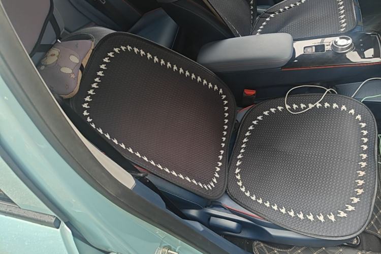 Used Geometry E Firefly 2023 401KM Linglong Tiger 5-Seater Right Front Seat