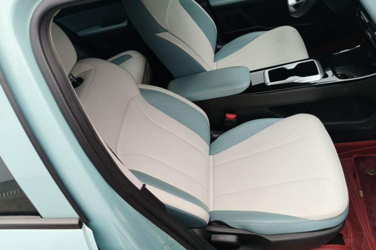 Used Geometry E Firefly 2023 401KM Linglong Tiger 5-Seater Right Front Seat