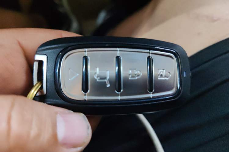 Used Geometry E Firefly 2023 401KM Linglong Tiger 5-Seater Vehicle Key