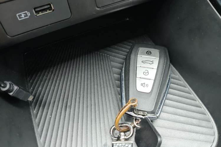 Used Geometry E Firefly 2023 401KM Linglong Tiger 5-Seater Vehicle Key
