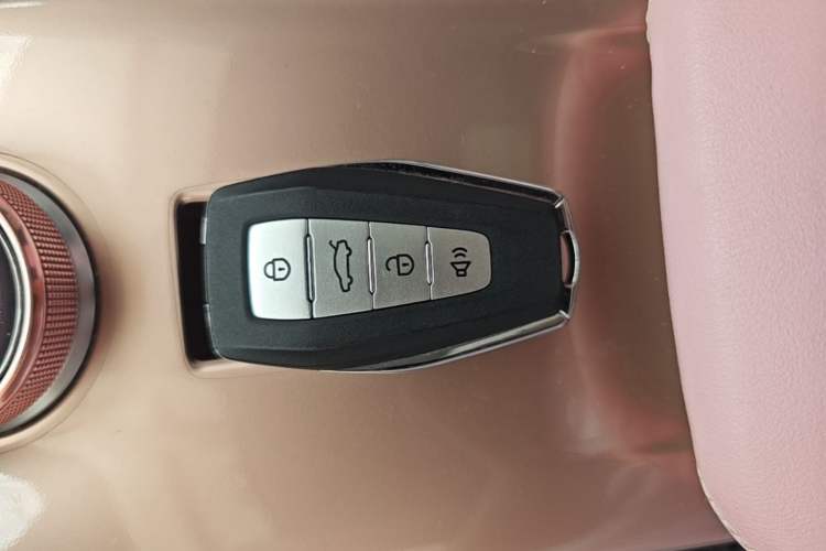 Used Geometry E Firefly 2023 401 km Super-Liked Special Edition 5 Seats Interior 1