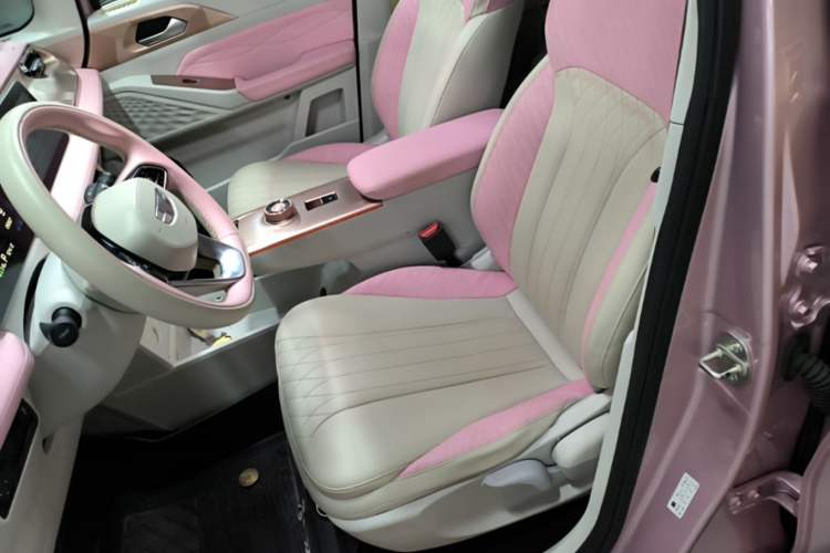 Used Geometry E Firefly 2023 401 km Super-Liked Special Edition 5 Seats Left Front Seat