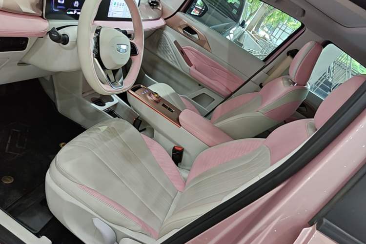 Used Geometry E Firefly 2023 401 km Super-Liked Special Edition 5 Seats Left Front Seat