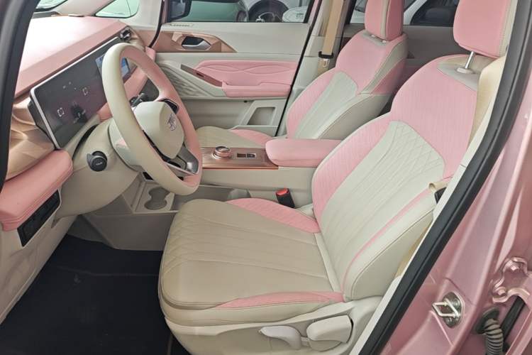 Used Geometry E Firefly 2023 401 km Super-Liked Special Edition 5 Seats Left Front Seat
