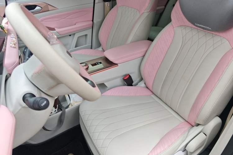 Used Geometry E Firefly 2023 401 km Super-Liked Special Edition 5 Seats Left Front Seat