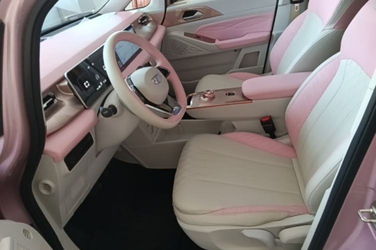 Used Geometry E Firefly 2023 401 km Super-Liked Special Edition 5 Seats Left Front Seat