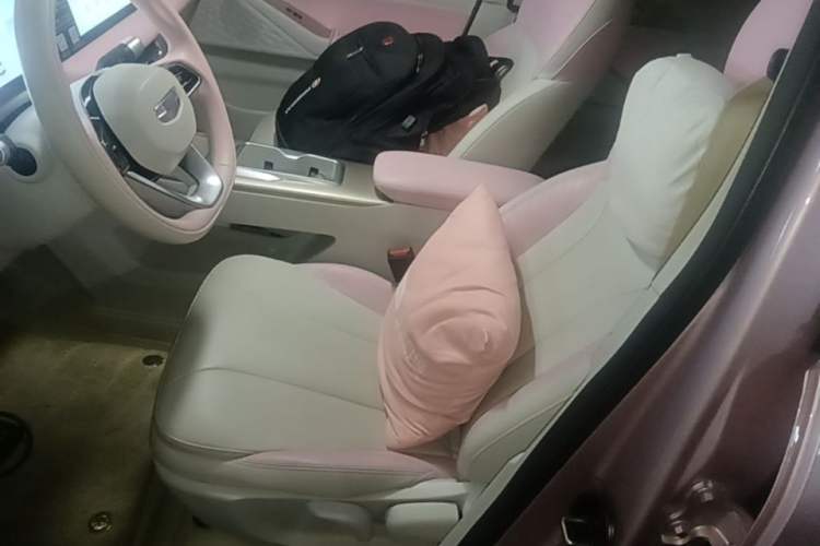 Used Geometry E Firefly 2023 401 km Super-Liked Special Edition 5 Seats Left Front Seat