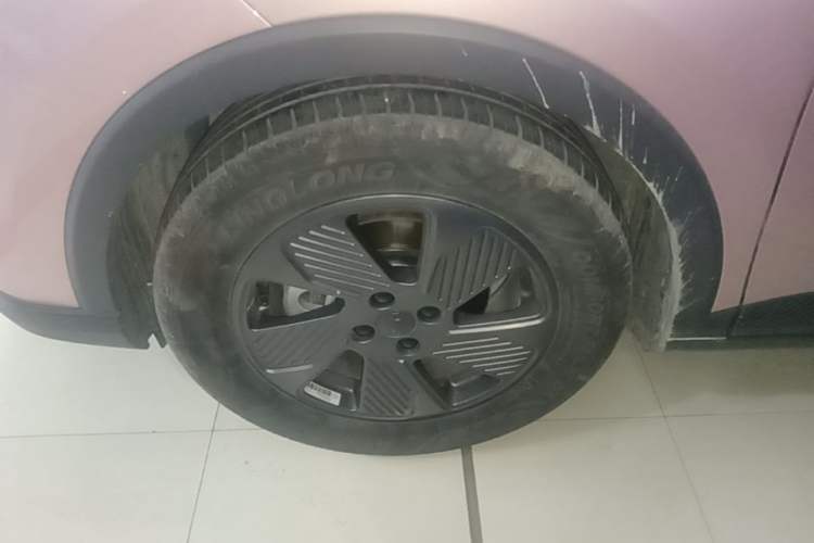 Used Geometry E Firefly 2023 401 km Super-Liked Special Edition 5 Seats Left Front Wheel Hub