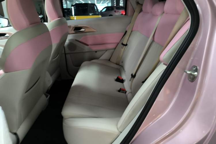 Used Geometry E Firefly 2023 401 km Super-Liked Special Edition 5 Seats Left Rear Seat