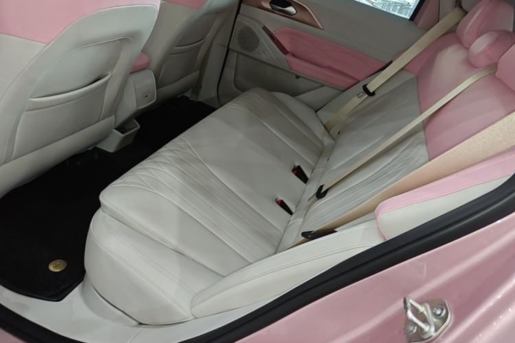 Used Geometry E Firefly 2023 401 km Super-Liked Special Edition 5 Seats Left Rear Seat