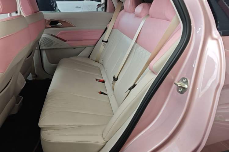 Used Geometry E Firefly 2023 401 km Super-Liked Special Edition 5 Seats Left Rear Seat