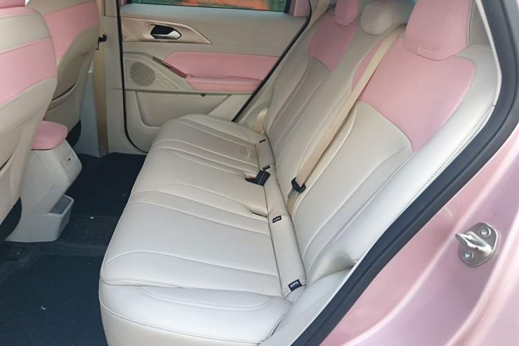 Used Geometry E Firefly 2023 401 km Super-Liked Special Edition 5 Seats Left Rear Seat