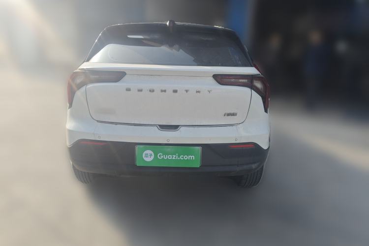 Used Geometry E Firefly 2023 401KM Linglong Tiger 5-Seater Rear