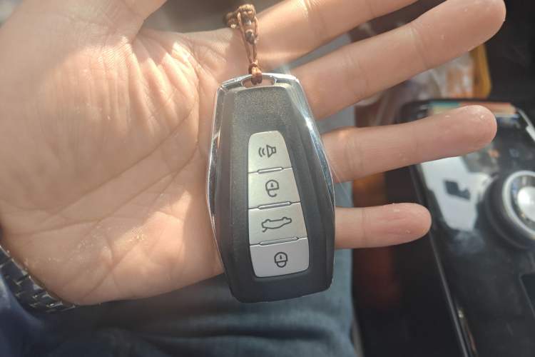 Used Geometry E Firefly 2023 401KM Linglong Tiger 5-Seater Vehicle Key